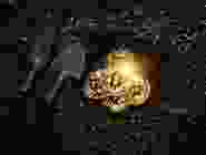 Vertical Timeline 2 - 1